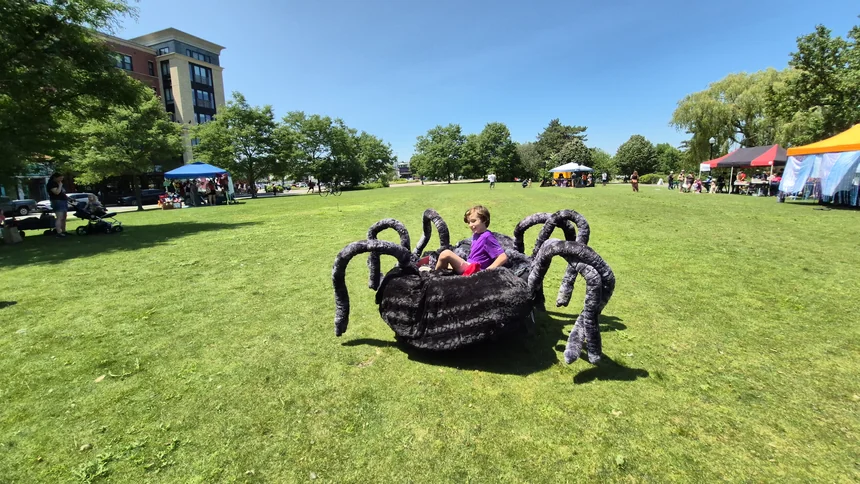 Giant Tarantula and Turtle that You Can Ride