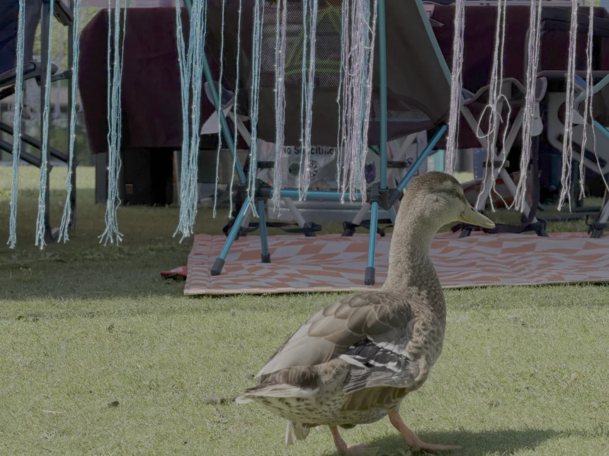 CORRECTION: Goose Poop Spotted at Figment