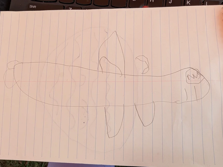 Large fish in the pond surprises Alphanauts